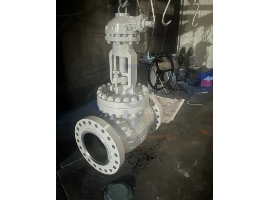 Gear Box Operated Casting Globe Valve